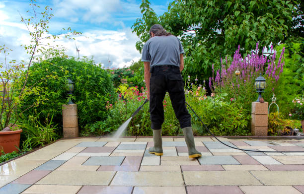 Animal Enclosure Cleaning in Libby, MT
